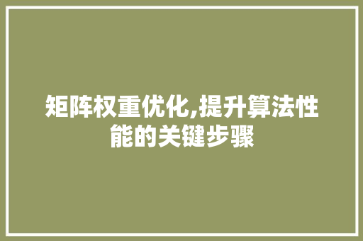 矩阵权重优化,提升算法性能的关键步骤