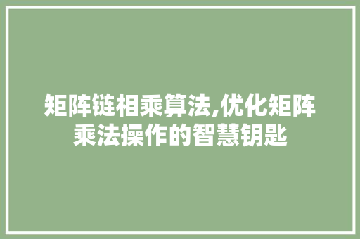 矩阵链相乘算法,优化矩阵乘法操作的智慧钥匙