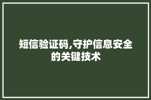 短信验证码,守护信息安全的关键技术