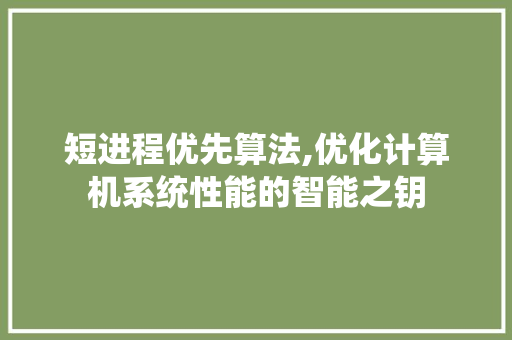 短进程优先算法,优化计算机系统性能的智能之钥