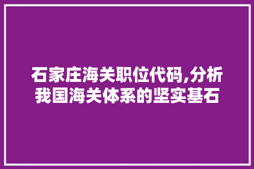 石家庄海关职位代码,分析我国海关体系的坚实基石