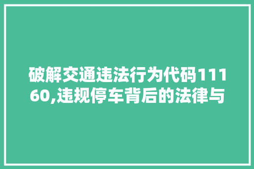 破解交通违法行为代码11160,违规停车背后的法律与道德考量