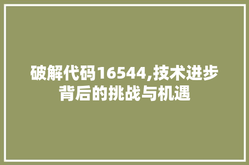 破解代码16544,技术进步背后的挑战与机遇