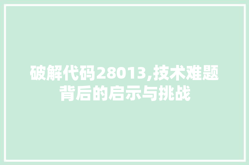 破解代码28013,技术难题背后的启示与挑战