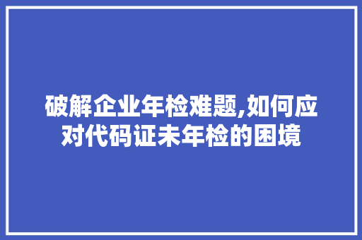 破解企业年检难题,如何应对代码证未年检的困境