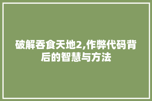 破解吞食天地2,作弊代码背后的智慧与方法