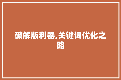 破解版利器,关键词优化之路