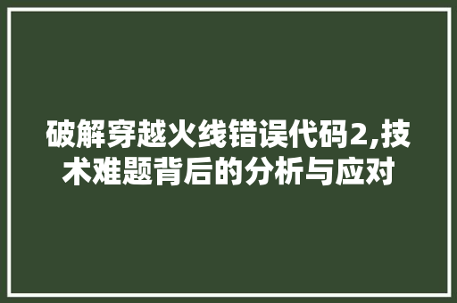 破解穿越火线错误代码2,技术难题背后的分析与应对