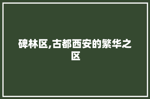 碑林区,古都西安的繁华之区