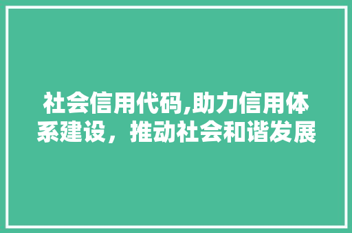 社会信用代码,助力信用体系建设，推动社会和谐发展