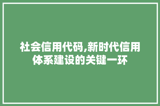 社会信用代码,新时代信用体系建设的关键一环