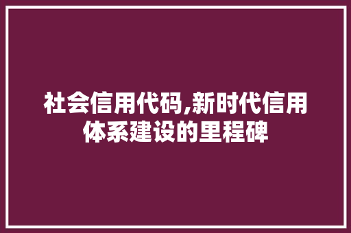 社会信用代码,新时代信用体系建设的里程碑