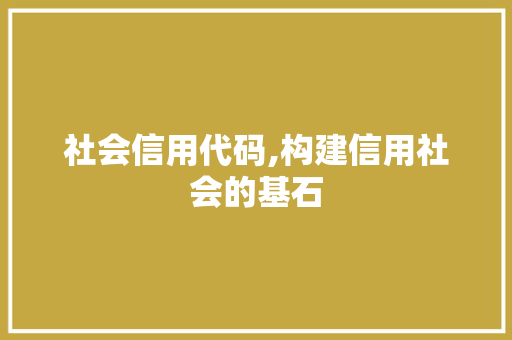 社会信用代码,构建信用社会的基石