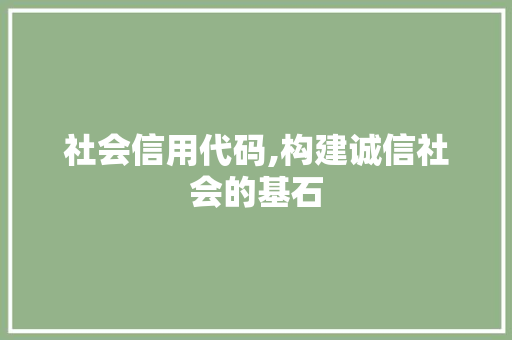 社会信用代码,构建诚信社会的基石