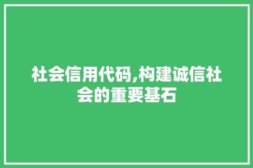 社会信用代码,构建诚信社会的重要基石