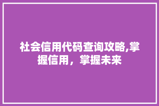 社会信用代码查询攻略,掌握信用，掌握未来 Angular