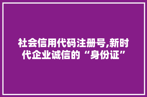 社会信用代码注册号,新时代企业诚信的“身份证”