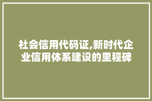 社会信用代码证,新时代企业信用体系建设的里程碑