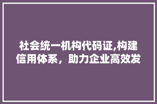 社会统一机构代码证,构建信用体系，助力企业高效发展