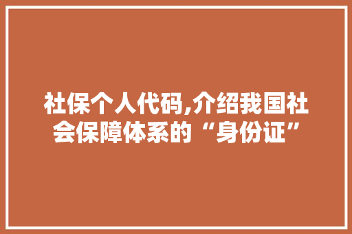 社保个人代码,介绍我国社会保障体系的“身份证”