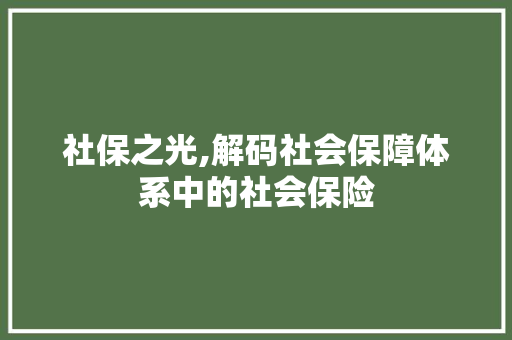 社保之光,解码社会保障体系中的社会保险