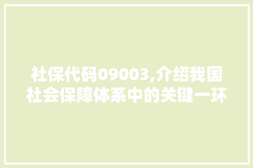 社保代码09003,介绍我国社会保障体系中的关键一环