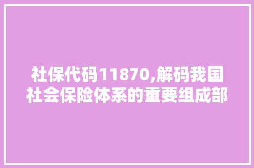 社保代码11870,解码我国社会保险体系的重要组成部分