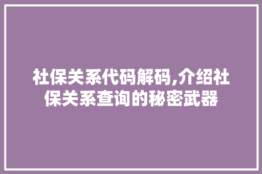 社保关系代码解码,介绍社保关系查询的秘密武器