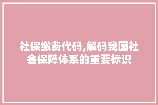 社保缴费代码,解码我国社会保障体系的重要标识