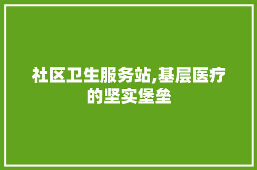 社区卫生服务站,基层医疗的坚实堡垒