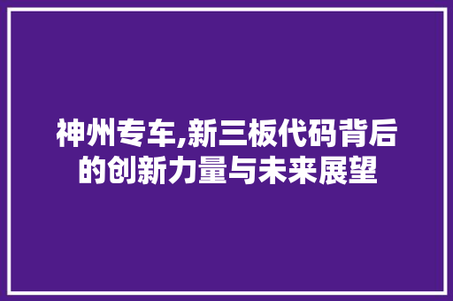 神州专车,新三板代码背后的创新力量与未来展望