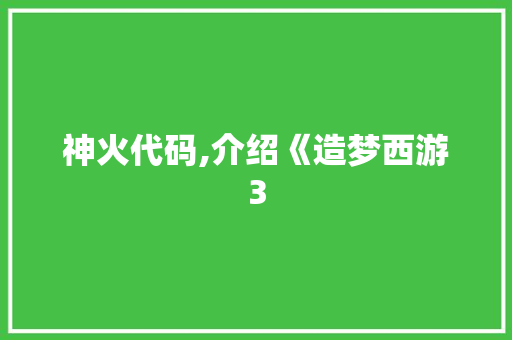 神火代码,介绍《造梦西游3