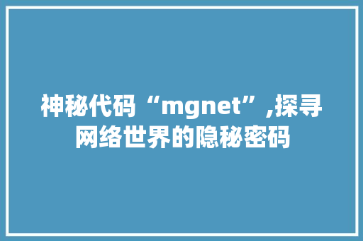 神秘代码“mgnet”,探寻网络世界的隐秘密码