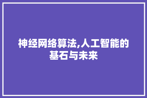 神经网络算法,人工智能的基石与未来