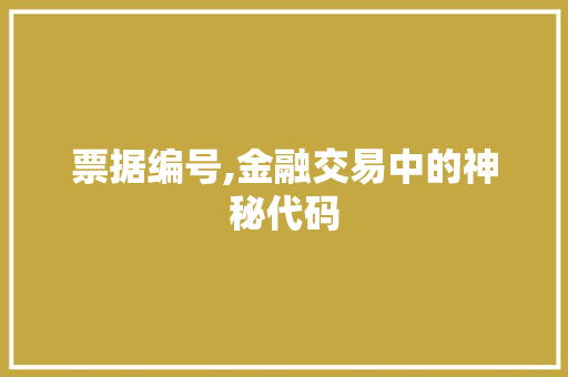 票据编号,金融交易中的神秘代码