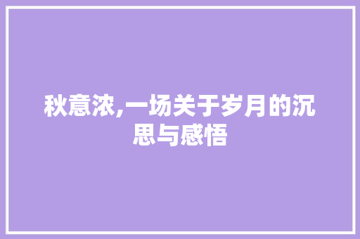 秋意浓,一场关于岁月的沉思与感悟