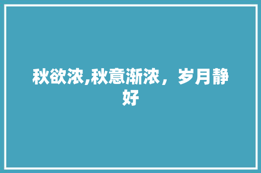 秋欲浓,秋意渐浓，岁月静好