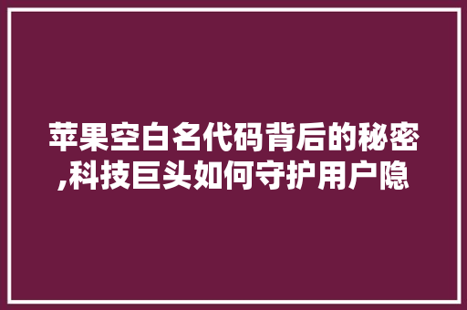 苹果空白名代码背后的秘密,科技巨头如何守护用户隐私