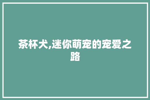 茶杯犬,迷你萌宠的宠爱之路