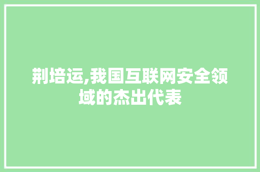 荆培运,我国互联网安全领域的杰出代表