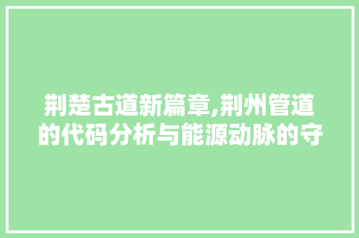 荆楚古道新篇章,荆州管道的代码分析与能源动脉的守护