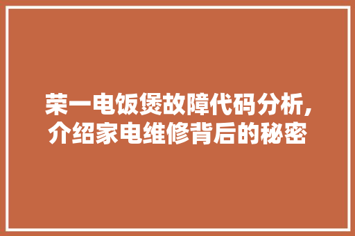 荣一电饭煲故障代码分析,介绍家电维修背后的秘密