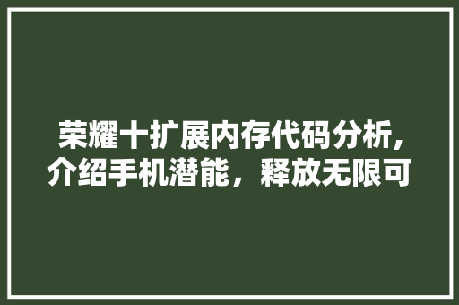 荣耀十扩展内存代码分析,介绍手机潜能，释放无限可能