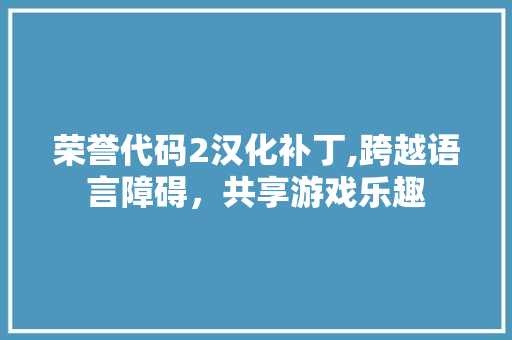 荣誉代码2汉化补丁,跨越语言障碍，共享游戏乐趣