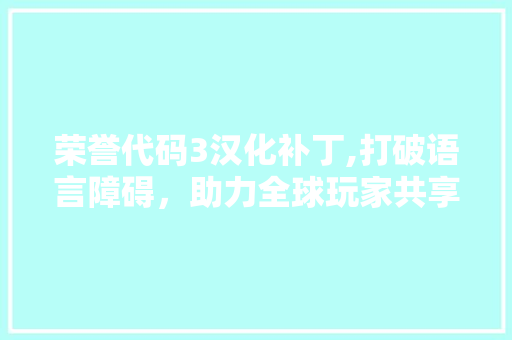 荣誉代码3汉化补丁,打破语言障碍，助力全球玩家共享游戏乐趣