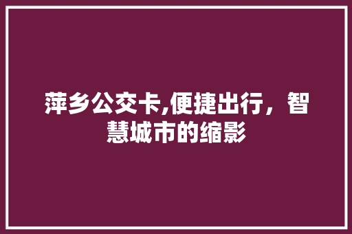 萍乡公交卡,便捷出行，智慧城市的缩影