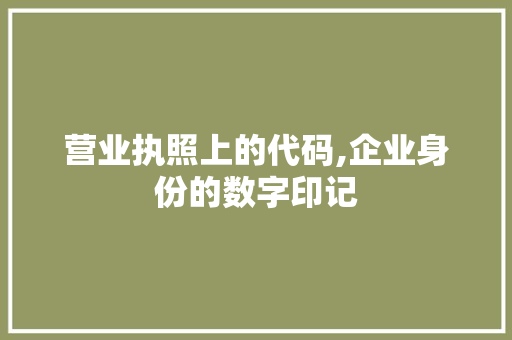 营业执照上的代码,企业身份的数字印记 CSS