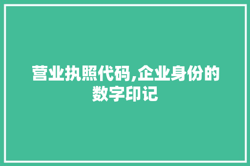 营业执照代码,企业身份的数字印记