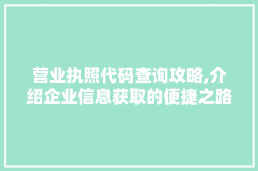 营业执照代码查询攻略,介绍企业信息获取的便捷之路