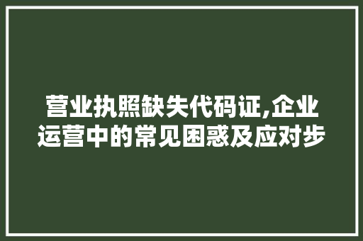 营业执照缺失代码证,企业运营中的常见困惑及应对步骤